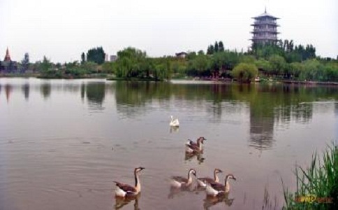 上海灞橋區(qū)注冊(cè)公司流程及費(fèi)用