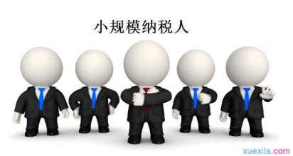 小規模納稅人網上交稅和開票超額問題3