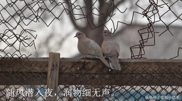 第954天：文案策劃分析商標(biāo)注冊(cè)：您的賺錢技巧在哪里？