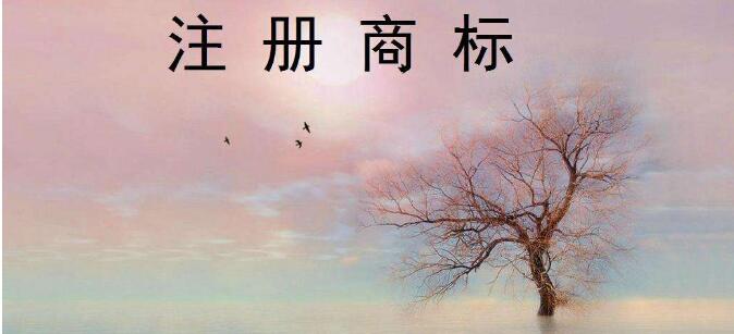 商標(biāo)跨界保護(hù)也要面面俱到！