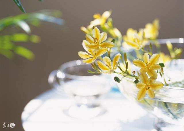 商標(biāo)用得好,年年都賺錢