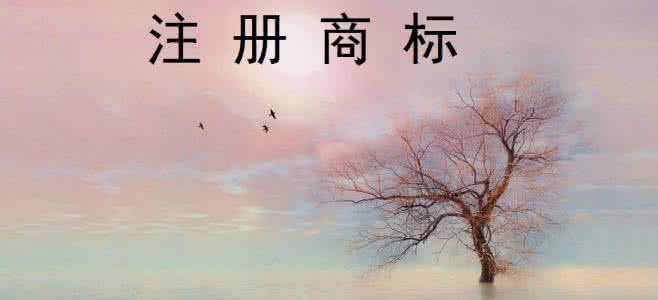 注冊商標 注冊商標