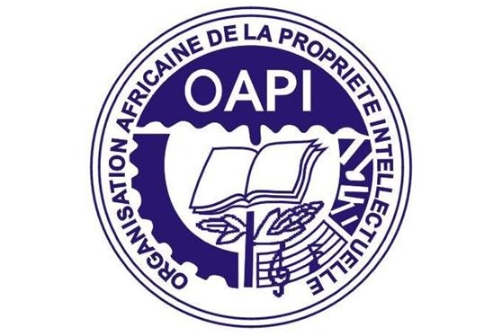 掘金企服｜國際商標注冊知多少