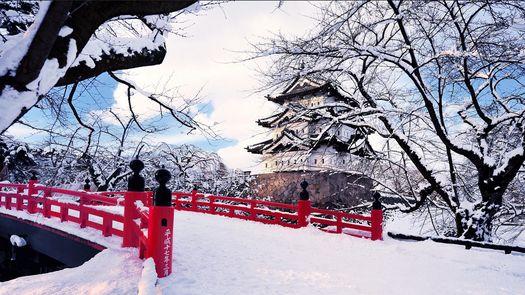 日本這次發“飆”了!中國企業申請注冊“AOMORI”商標