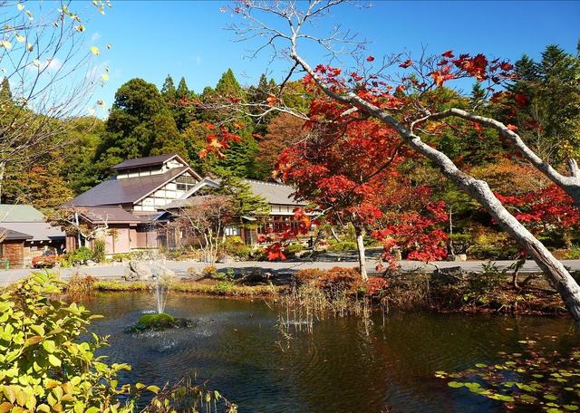 日本這次發“飆”了!中國企業申請注冊“AOMORI”商標