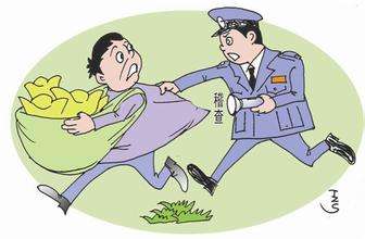 對偷稅行為進行處罰