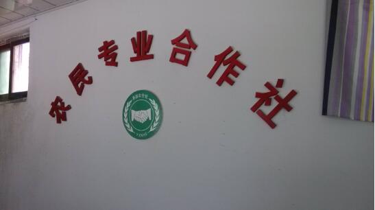 農民專業合作社設立、變更、注銷手續怎么辦理？