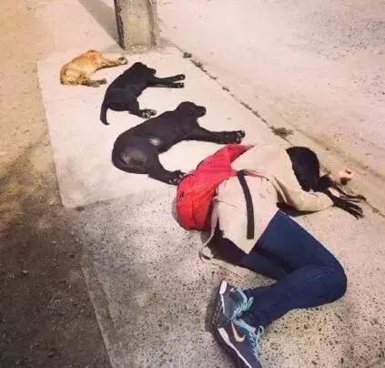 別臉紅,18歲時(shí)你怎么理解這個(gè)詞