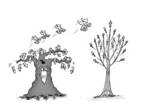 外資公司變更為內資公司所需要資料