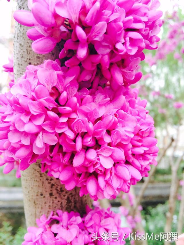 會(huì)計(jì)記賬基本記賬流程