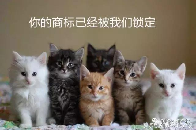 為什么要申請“奇葩”商標?