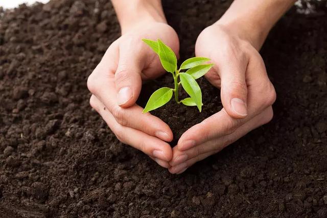 “商標注冊100%包通過”有多不靠譜？